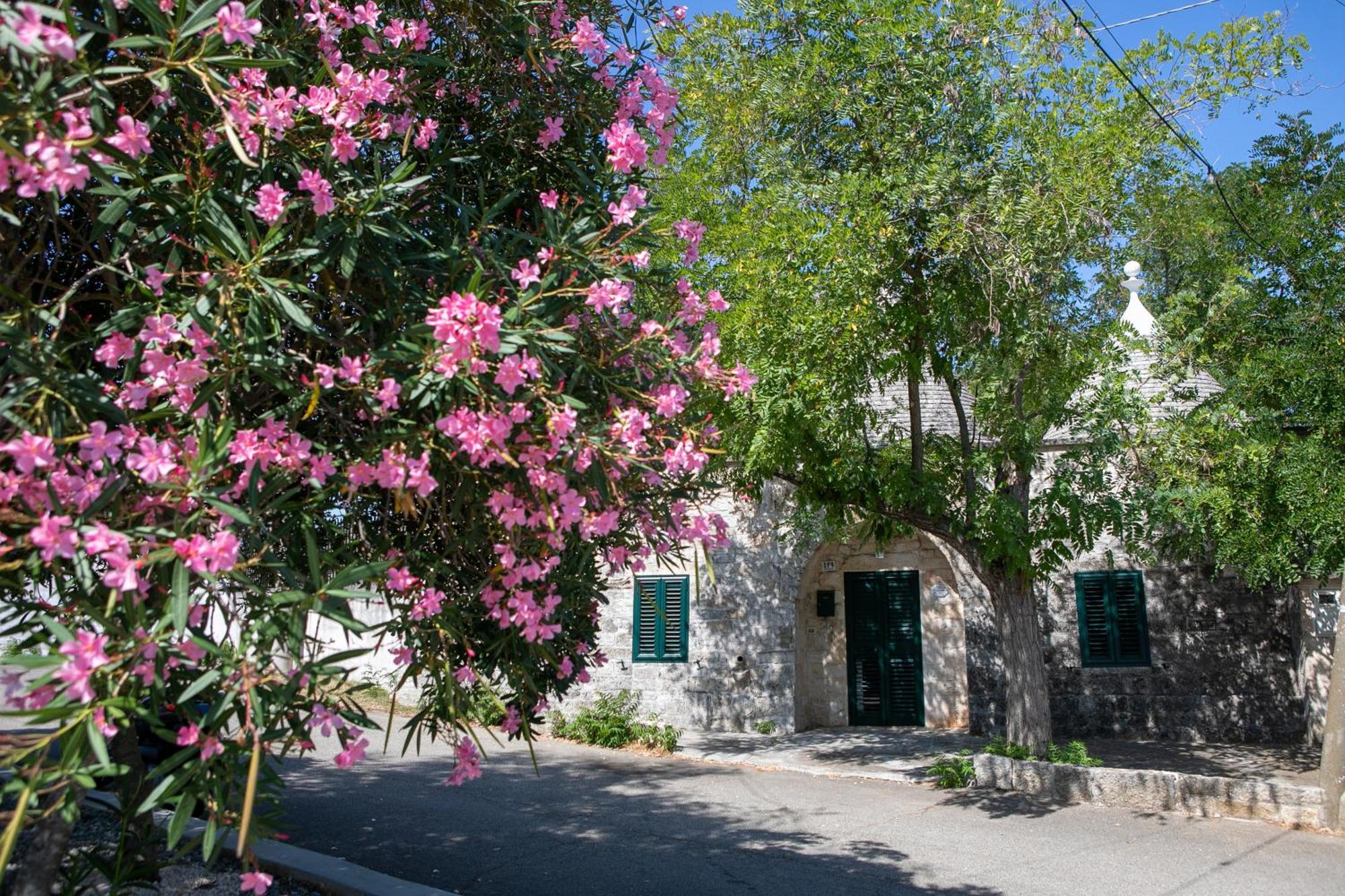 Angolo Di Puglia Locorotondo Kültér fotó